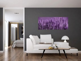 Tablou - Lavanda (120x50 cm)