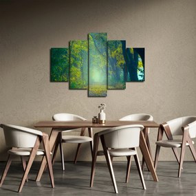 Tablou cu drum dea lungul cu copaci (150x105 cm)