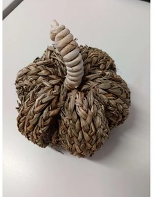 OFERTA Decoratiune dovleac PUMPKIN COACH GRASS II.calitate