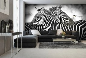 Fototapet - Zebra (254x184 cm), în 8 de alte dimensiuni noi