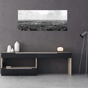Tablou - Acoperișuri clădirilor din Paris (120x50 cm)