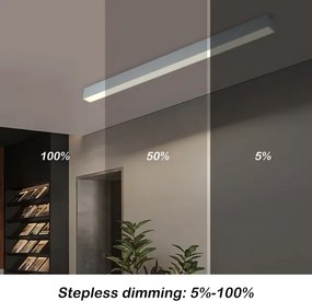 Brilagi - Plafonieră LED reglabilă SLEEKLINE LED/40W/230V Wi-Fi Tuya argintiu+telecomandă