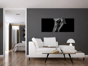 Tablou - Artă masculină (120x50 cm)