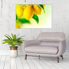 Tablou cu lămâi (90x60 cm)