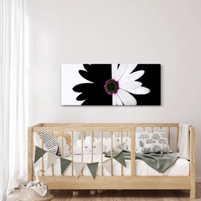 Tablou - Floare, alb- negru (120x50 cm)