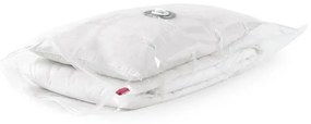 Set saci de depozitare Compactor Bag 80 x 100 cm, 2 buc, transparent