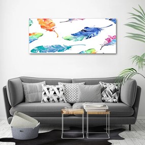 Tablou pe pânză canvas Pene colorate
