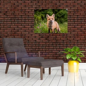 Tablou cu vulpe (70x50 cm)