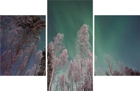 Tablou cu aurora borealis deasupra pomilor înghețați (90x60 cm)