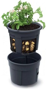 Ghiveci pentru cartofi 2in1, 295x245mm, Prosperplast