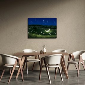 Tablou - Cer căzător (70x50 cm)