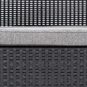 Canapea de grădină Claire cu 2 locuri din ratan sintetic, grafit