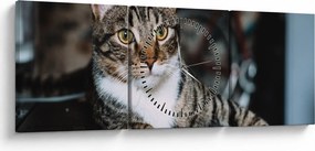 Tablou cu pisica (cu ceas) (90x30 cm)