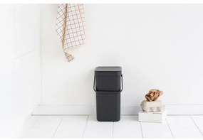Cos de colectare selectiva Brabantia Sort&Go 647670, 12 L, Maner, Montabil pe perete, Gri inchis