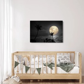 Tablou - Plaja cu lună plină, nuanțe gri (90x60 cm)