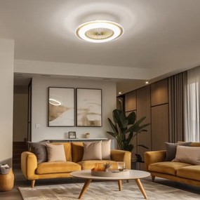 Plafonieră LED dimabilă cu ventilator Brilagi RONDA LED/48W/230V auriu + telecomandă