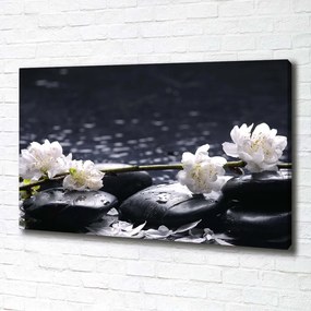 Print pe canvas Floare de cires