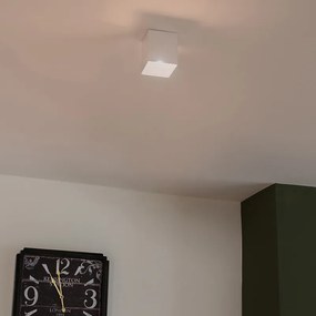 Spot inteligent alb, inclusiv WiFi GU10 - Qubo 1