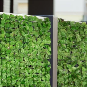 Fency Bright Leaf, verde deschis, fag, gard - protecție împotriva vântului 300 x 100 cm