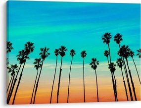 Tablou - California (70x50 cm)