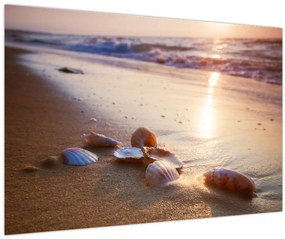 Tablou - Scoici (90x60 cm)