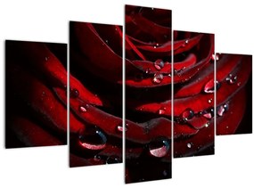 Tablou - Trandafir (150x105 cm)