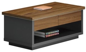 Birou directoral Oscar Nuc 120x60x42 cm