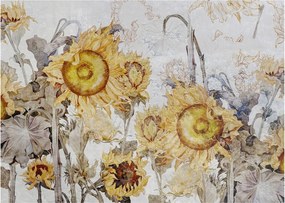 Tablou - Floarea-soarelui pe perete (70x50 cm)
