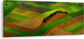Tablou - Lan, luncile (120x50 cm)