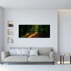 Tablou cu poteca prin pădure (120x50 cm), în 40 de alte dimensiuni noi