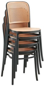 Scaun de sufragerie LENITO (Negru + Bej). 1091686