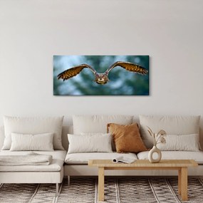 Tablou -Bufnita în zbor (120x50 cm)