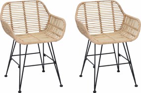 vidaXL Scaun de sufragerie 2 pcs natural 55 x 50 x 74 cm Ratan și Fier