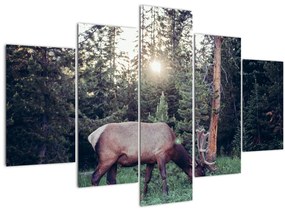 Tablou - Elan în poiană (150x105 cm)