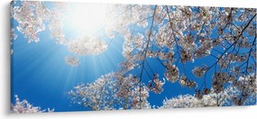 Tablou - Flori de cireș (120x50 cm)