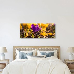 Tablou cu floare violetă (120x50 cm)