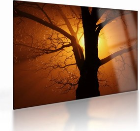 Tablou pe sticlă cu copac în apus de soare (70x50 cm)