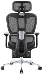 Scaun ergonomic, cotiere 2D, suport picioare, Full Mesh, Negru