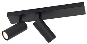 Plafonieră modernă cu spoturi negre reglabile cu 2 lumini - Renna