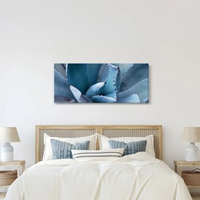Tablou - Agave (120x50 cm)
