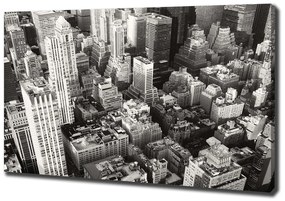 Tablou pe pânză New york pasăre de zbor