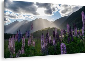 Tablou - scenariu cu flori de Lupin (90x60 cm)