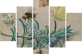 Tablou - Jan van Kessel the Elder, Insects and a Sprig of Rosemary, reproducere (150x105 cm)