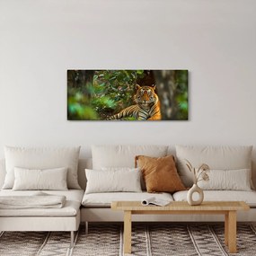 Tablou - Tigru odihnindu -se (120x50 cm)
