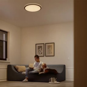 Philips 32809/31/P3 - Plafonieră LED CANAVAL dimabilă LED/18W/230V