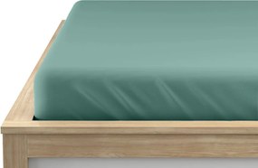 Cearsaf jersey EXCLUSIVE mentol 200x220 cm, 100% bumbac