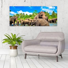 Tablou - Elefanți, Sri Lanka (120x50 cm)