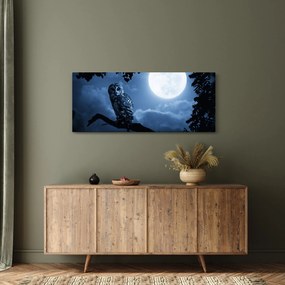 Tablou - Bufnița de noapte (120x50 cm)