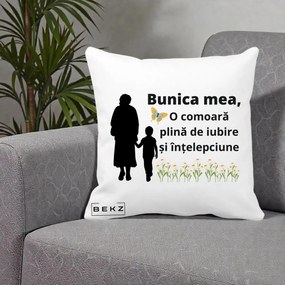 Cadou pentru Bunica - Perna Personalizata Bunica Mea Comoara cu Fluture si Baietel, 40x40 cm, Alba Mata, Husa Detasabila, Perna Inclusa, BEKZ®