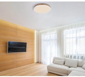 Plafonieră LED DORO LED/24W/230V d. 45 cm Globo 416080WWD2R